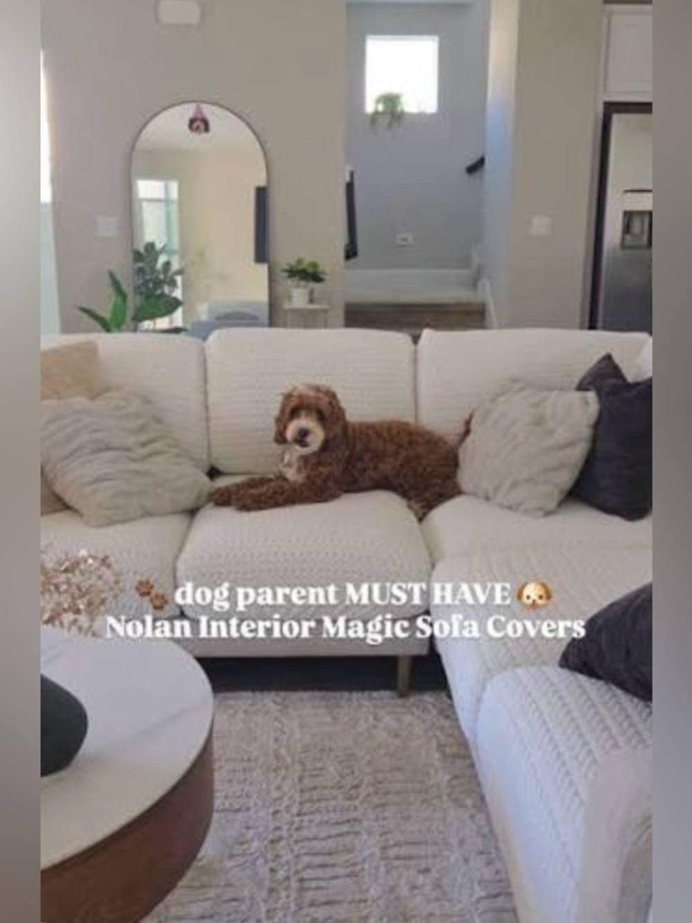 NOLAN INTERIOR “Magic Sofa Seat Cover” Classic Jade White, Pet-Proof Slipcover - Picture 2 of 15